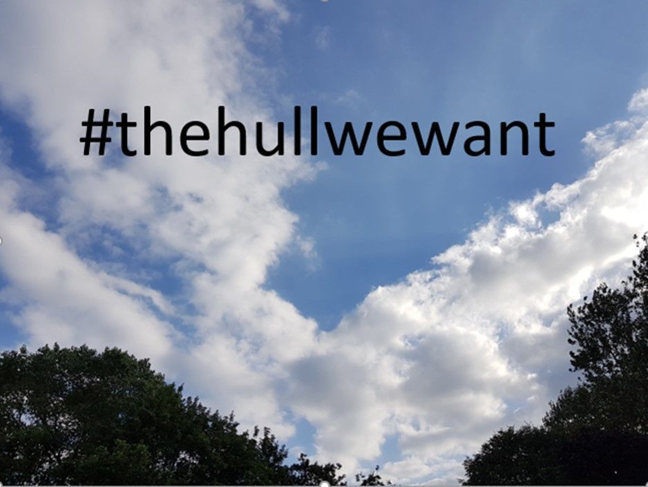 the-hull-we-want