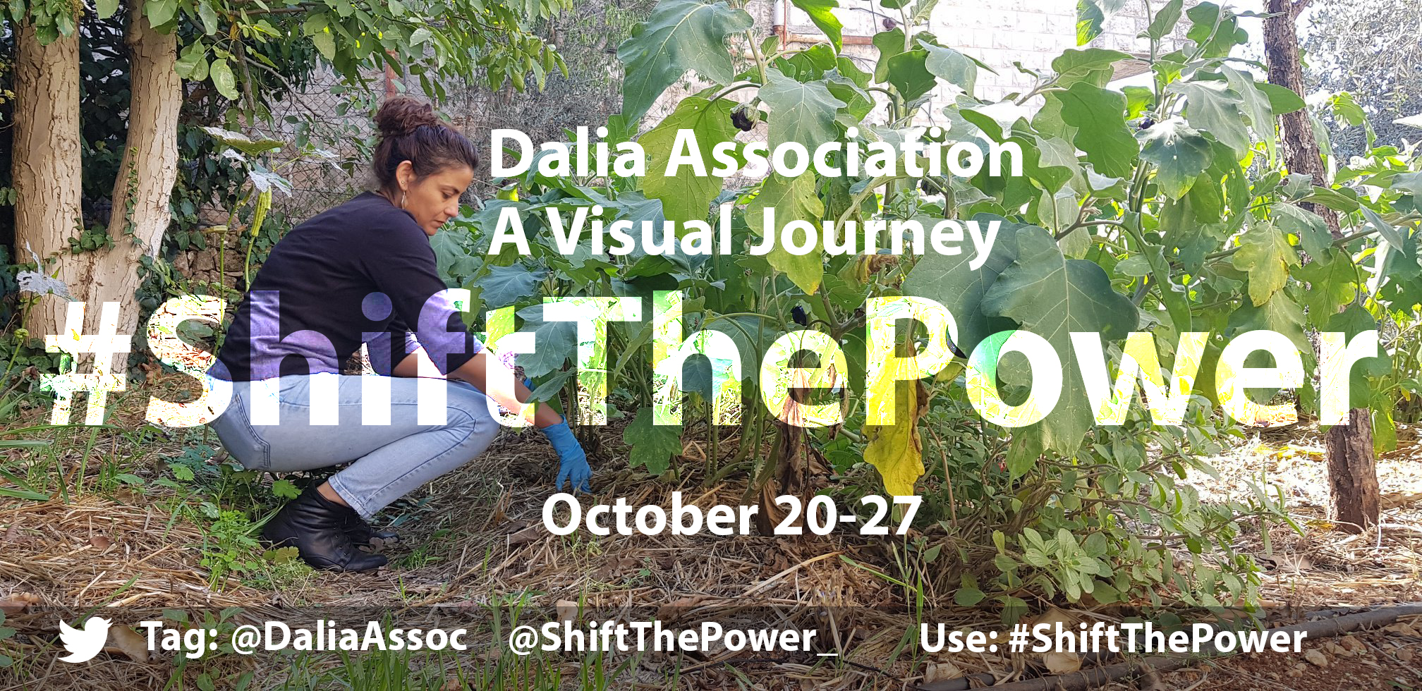 A visual journey of shifting power: Dalia Association in Palestine