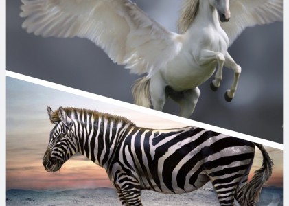 From Unicorn to Zebra: The transformation of ZGF