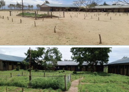 When the well runs dry: Rethinking development in the wake of donor withdrawal