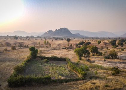 Building bridges between the #ShiftThePower and agroecology movements