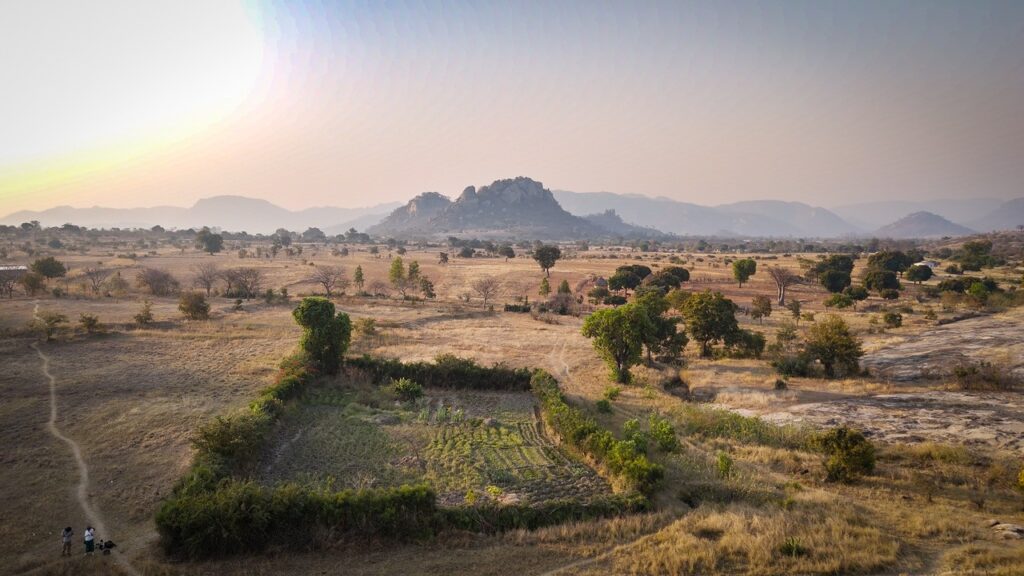 Building bridges between the #ShiftThePower and agroecology movements – join us for an online conversation on 11 March